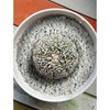 Msi Grey 0.20 Cu. Ft. Per Bag (0.2 In. ) Gravel Pebbles Bagged Landscape Rock ZOR-LSC-0144